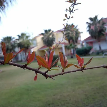 Akdenizevleri Kemer